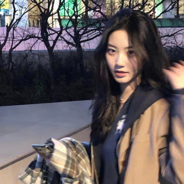 铿锵玫瑰在线观看